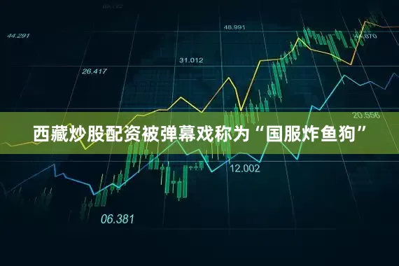 西藏炒股配资被弹幕戏称为“国服炸鱼狗”
