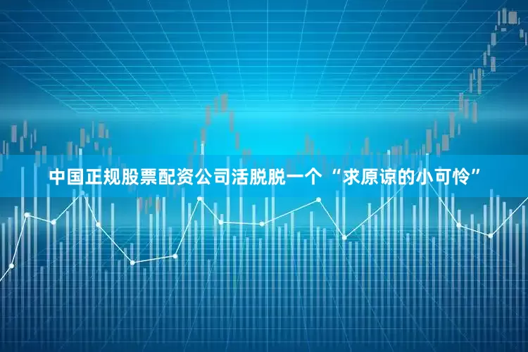 中国正规股票配资公司活脱脱一个 “求原谅的小可怜”