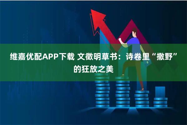 维嘉优配APP下载 文徵明草书:诗卷里“撒野”的狂放之美