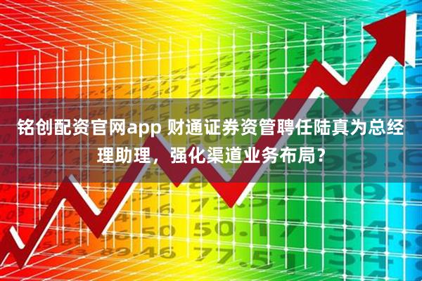 铭创配资官网app 财通证券资管聘任陆真为总经理助理,强化渠道业务布局?