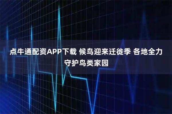 点牛通配资APP下载 候鸟迎来迁徙季 各地全力守护鸟类家园