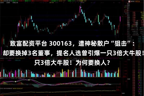致富配资平台 300163，遭神秘散户“狙击”：持股只超1%，却要换掉3名董事，提名人选曾引爆一只3倍大牛股！为何要换人？